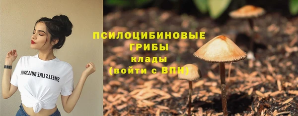 скорость Туринск