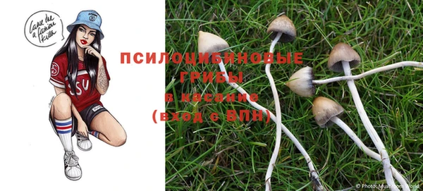прущие крисы Верхний Тагил