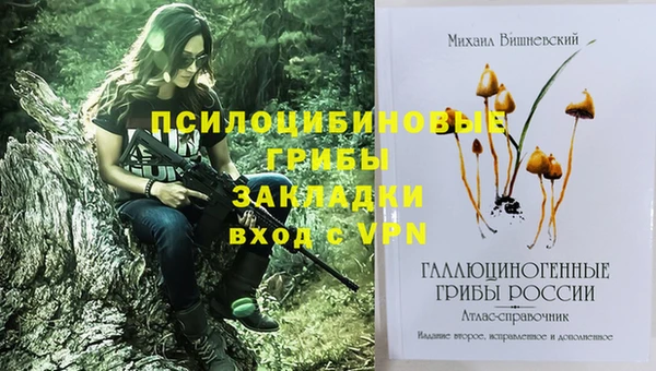соль ск Верея
